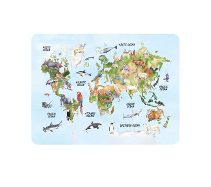 Individual Kids rectangular Mapa Orca. Incluye estuche