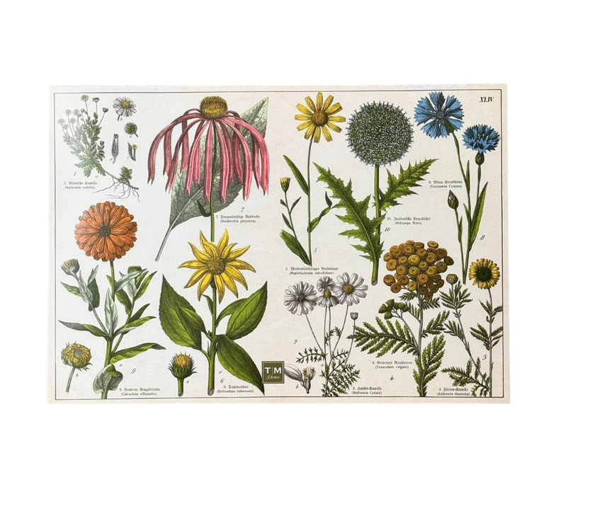 Block de Individuales de papel Flores Colores