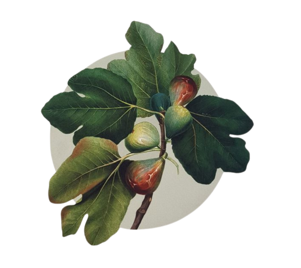 Individual troquelado redondo en tela Higos