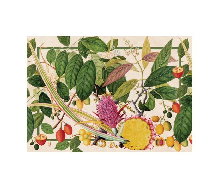 Block de Individuales de papel Flores/Frutas/Hojas